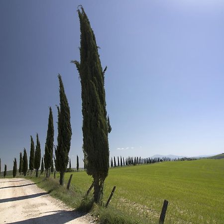 Baldovino Di Monte Monte San Savino Exterior photo